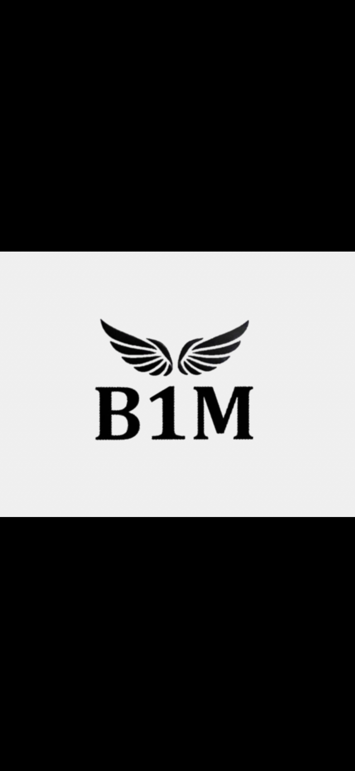 B1M logo with wings